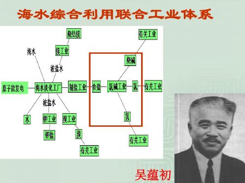 重要的化工原料——盐酸和烧碱