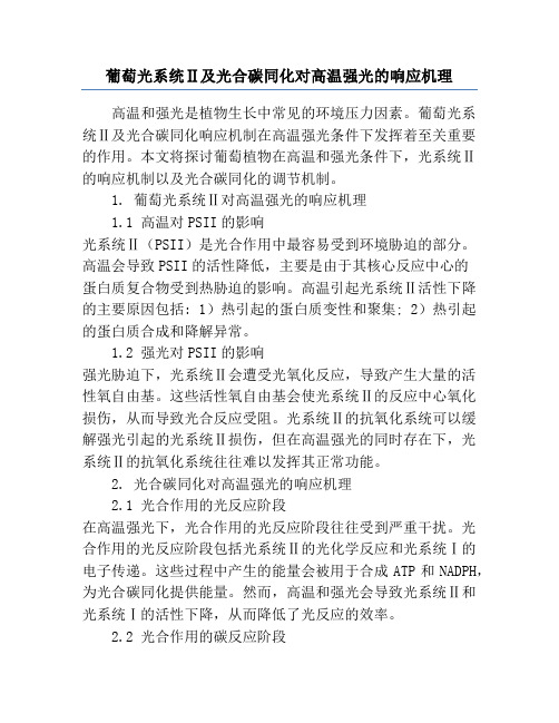 葡萄光系统Ⅱ及光合碳同化对高温强光的响应机理