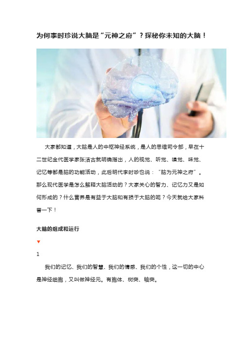 为何李时珍说大脑是“元神之府”？探秘你未知的大脑!