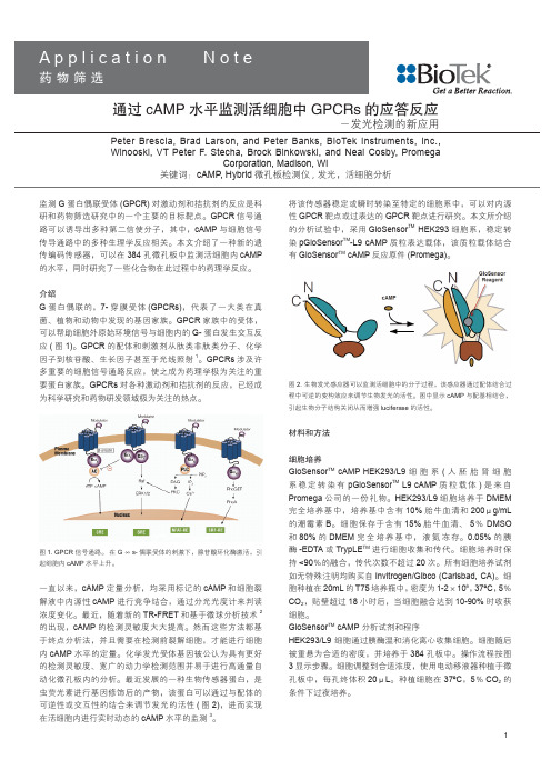 发光检测的新应用--通过cAMP水平监测活细胞中GPCRs的应答反应