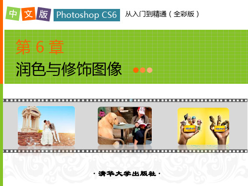 中文版PhotoshopCS6从入门到精通第6章