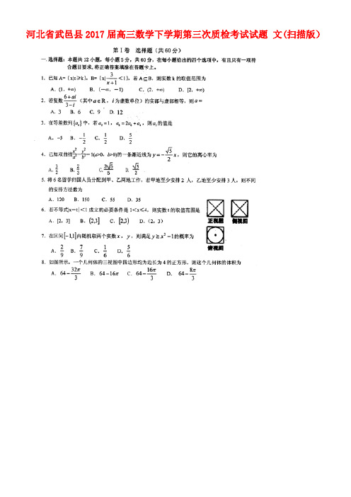 河北省武邑县高三数学下学期第三次质检考试试题文(扫描版)