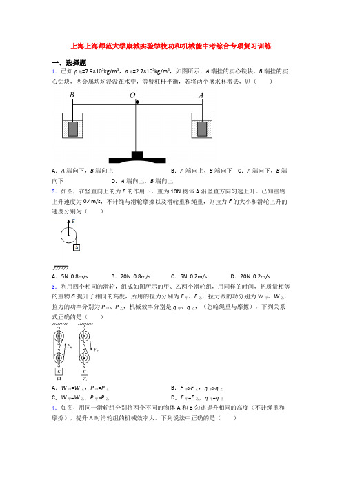 上海上海师范大学康城实验学校功和机械能中考综合专项复习训练