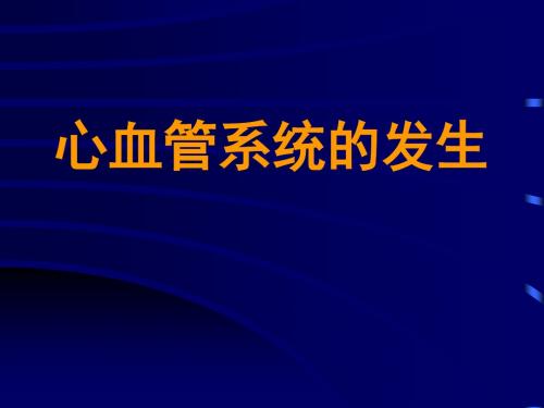 心血管系统-组织胚胎学教学课件