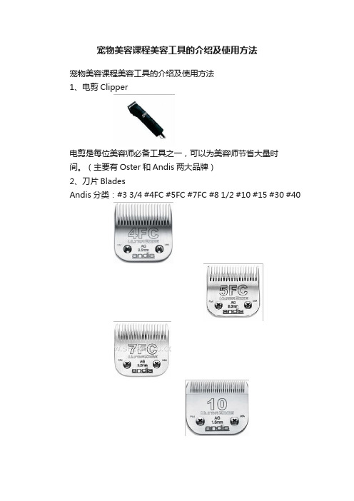 宠物美容课程美容工具的介绍及使用方法