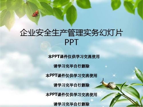 企业安全生产管理实务幻灯片PPT