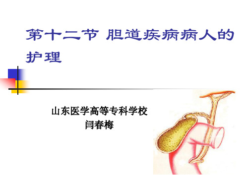 第十二节节胆道疾病护理参考