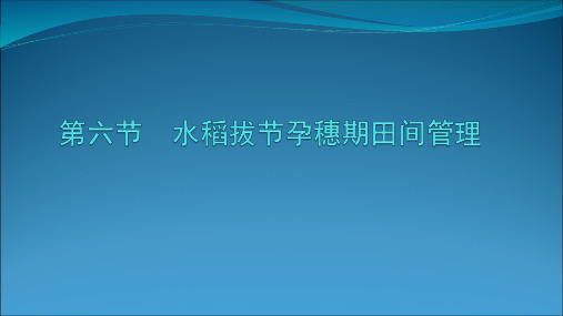 水稻拔节孕穗期田间管理PPT课件