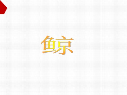 四年级下册《鲸》PPT(语文S版)