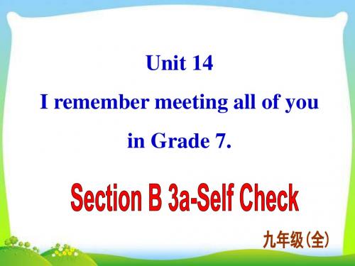 新目标英语九年级Unit 14 Section B-3教学课件