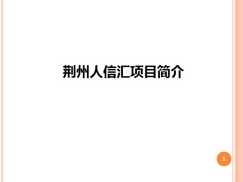 湖北荆州人信汇项目介绍及商业规划方案PPT课件