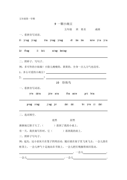 沪教版五年级语文课课练9-10课课练