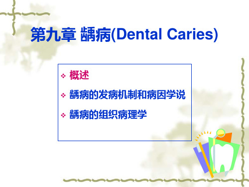 上海交通大学医学院口腔组织病理学课件龋病一