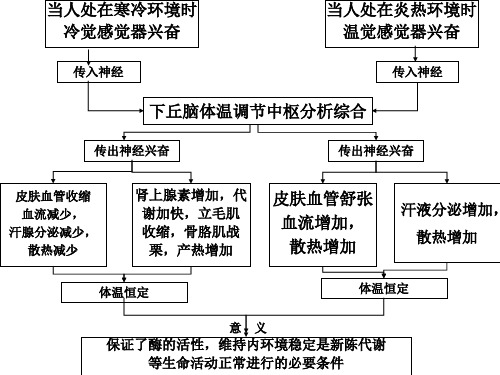 人体水和无机盐调节