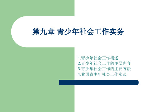 第九章青少年社会工作实务