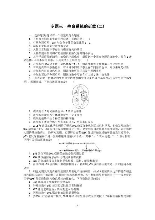 高三二轮复习生物专题练——专题三 生命系统的延续(二)