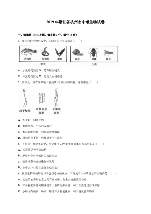 浙江省杭州市2019年中考生物试题(Word版,含解析)