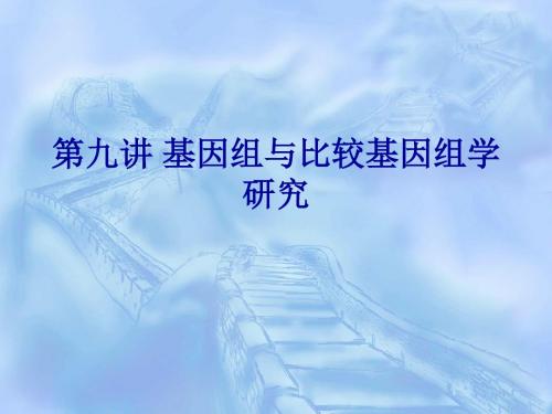 基因组与比较基因组学研究-文档资料