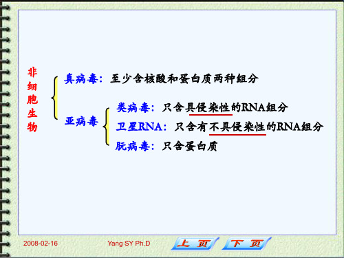 第四章非细胞型微生物的形态与分类ppt课件