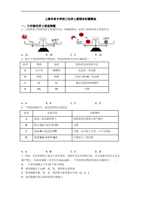 上海华育中学初三化学初三化学上册期末好题精选