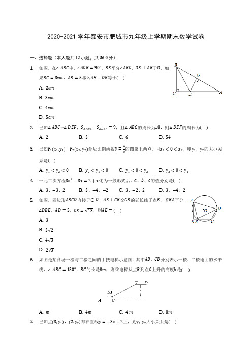 2020-2021学年泰安市肥城市九年级上学期期末数学试卷(含答案解析)