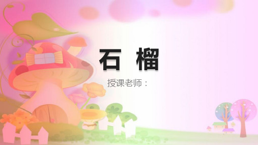小班美术课件PPT第36课-石榴