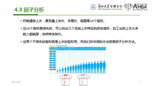 因子分析的过程