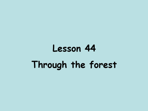 新概念英语第二册Lesson44——throughtheforest课件