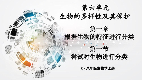 人教版八年级上册生物第六单元生物的多样性及其保护第一节尝试对生物进行分类课件