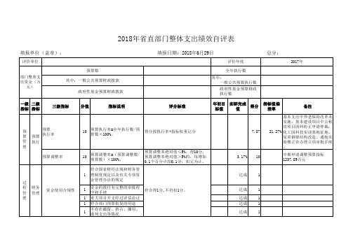 整体支出绩效自评表终