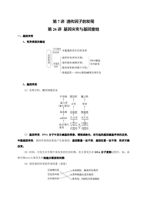 高考生物一轮复习讲义：第7讲 生物的变异与进化