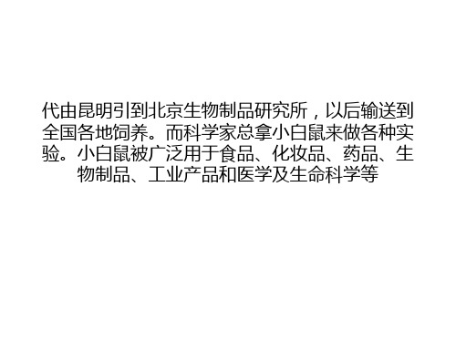 实验小白鼠为什么科学家都用小白鼠做实验