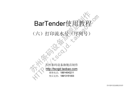 BarTender使用教程(六)打印流水号