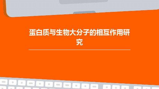 蛋白质与生物大分子的相互作用研究