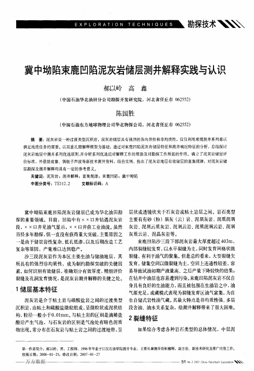 冀中坳陷束鹿凹陷泥灰岩储层测井解释实践与认识