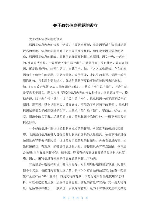 关于政务信息标题的设立