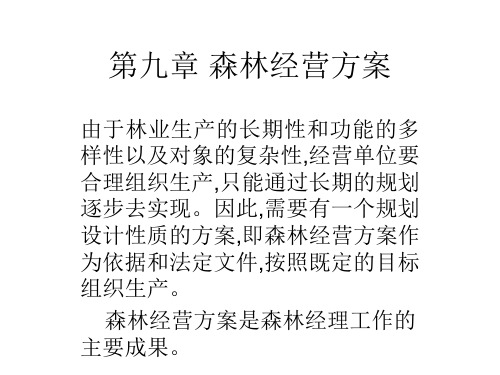 森林经营方案