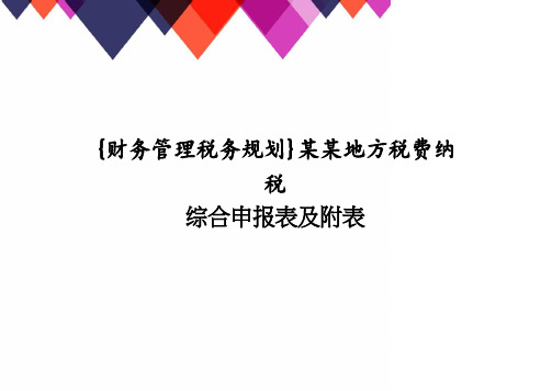 【财务管理税务规划 】某某地方税费纳税综合申报表及附表