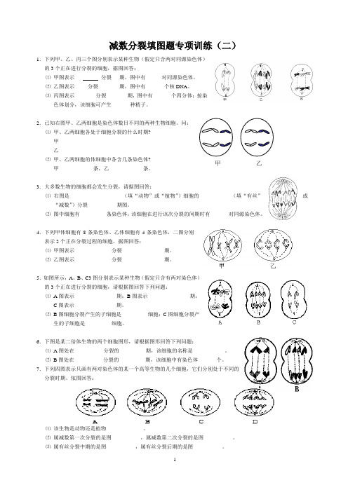 减数分裂大题专项训练