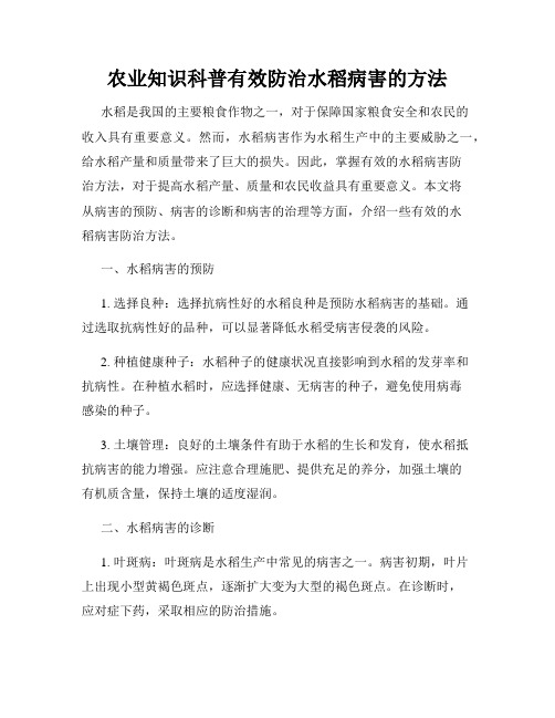 农业知识科普有效防治水稻病害的方法