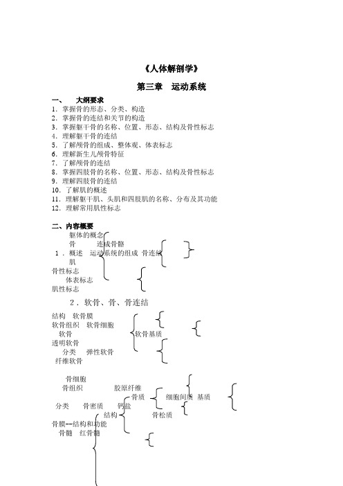 人体解剖学课后习题运动系统(含答案)