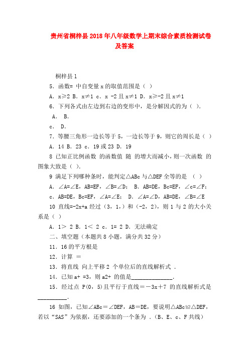 【八年级数学试题】贵州省桐梓县2018年八年级数学上期末综合素质检测试卷及答案