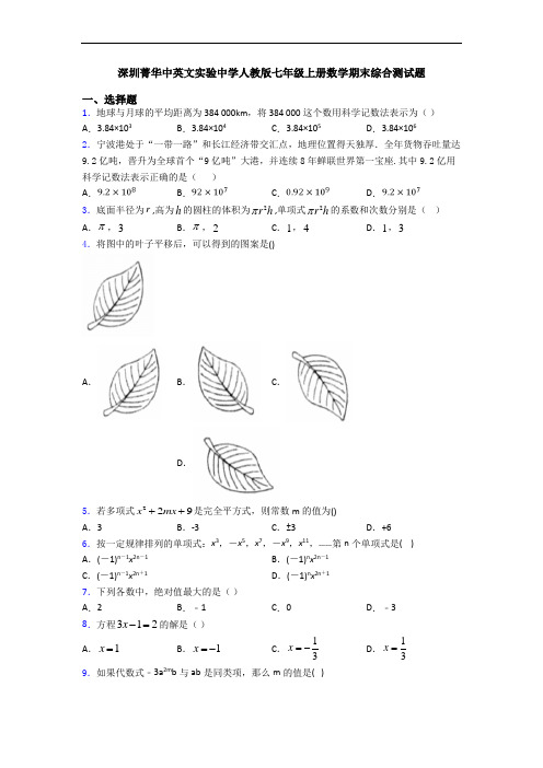 深圳菁华中英文实验中学人教版七年级上册数学期末综合测试题