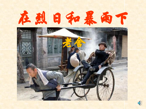【小学课件】《在烈日和暴雨下》优质PPT课件2