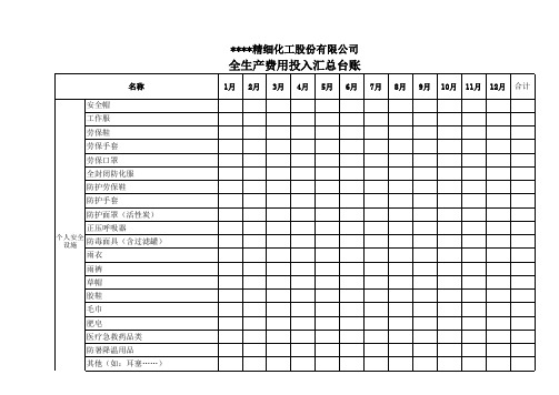 安全生产费用 投入台帐