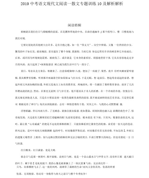 2019中考语文现代文阅读—散文专题训练10及解析解析.doc