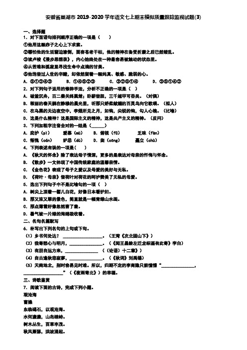 安徽省巢湖市2019-2020学年语文七上期末模拟质量跟踪监视试题(3)