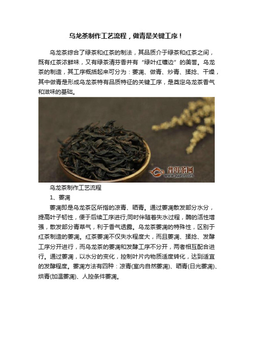 乌龙茶制作工艺流程，做青是关键工序！