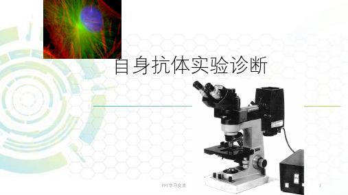 风湿性疾病概述ppt课件