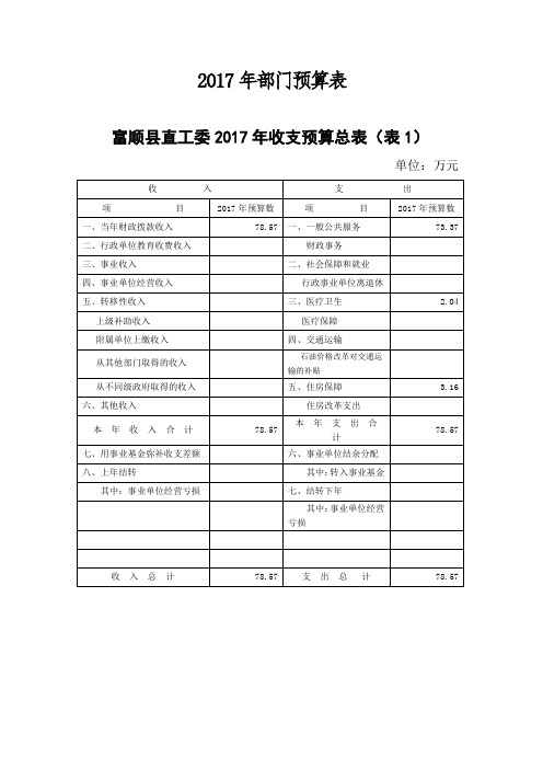 2017年部门预算表